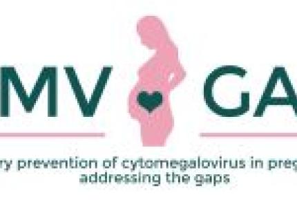 CMV gap logo
