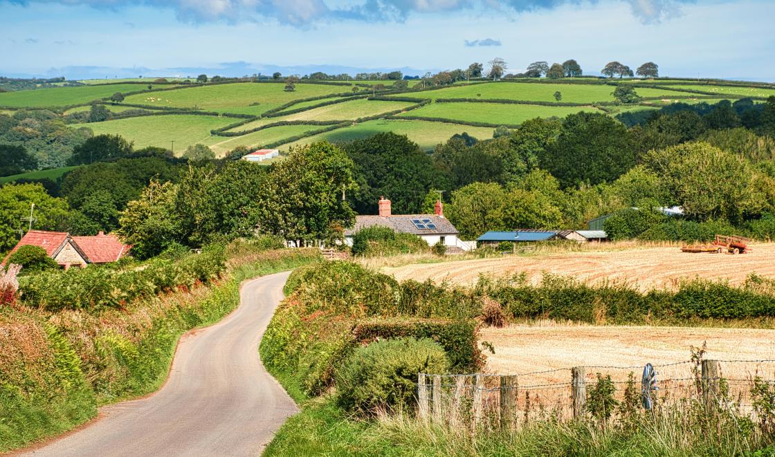 A view of golden fields and Exmoor in the background. Photo by Craig Cameron on Unsplash 