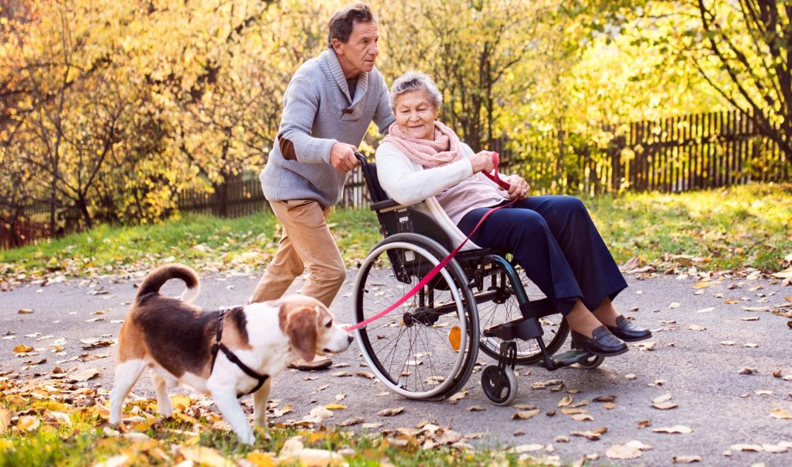 Man pushing elderly woman in wheelchair and walking dog in the park