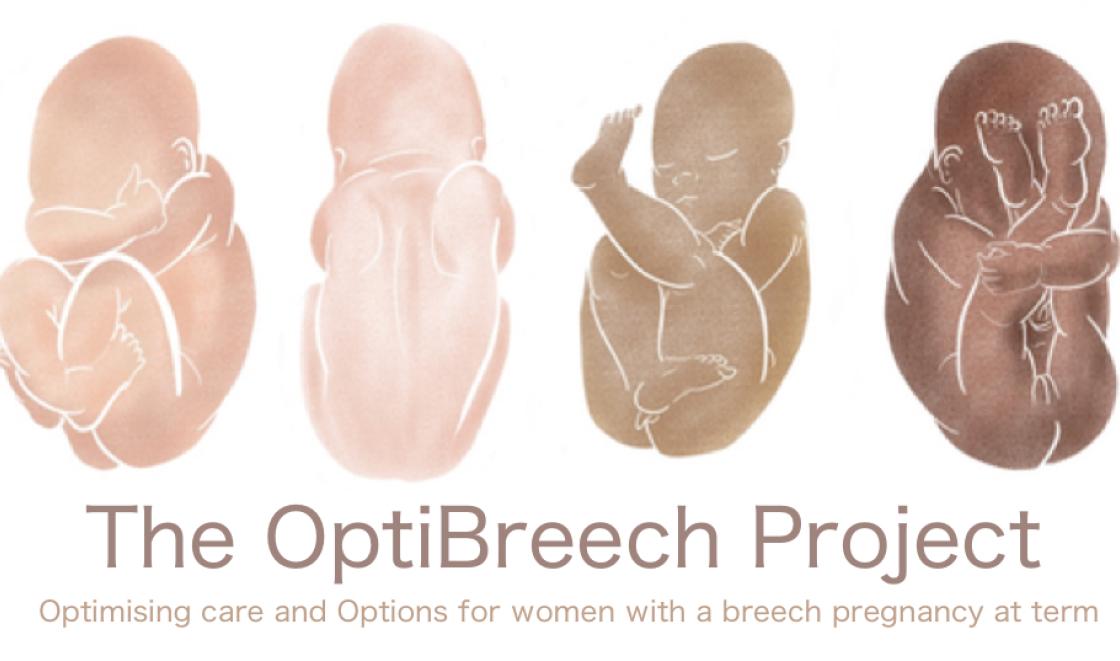 OptiBreech project logo 
